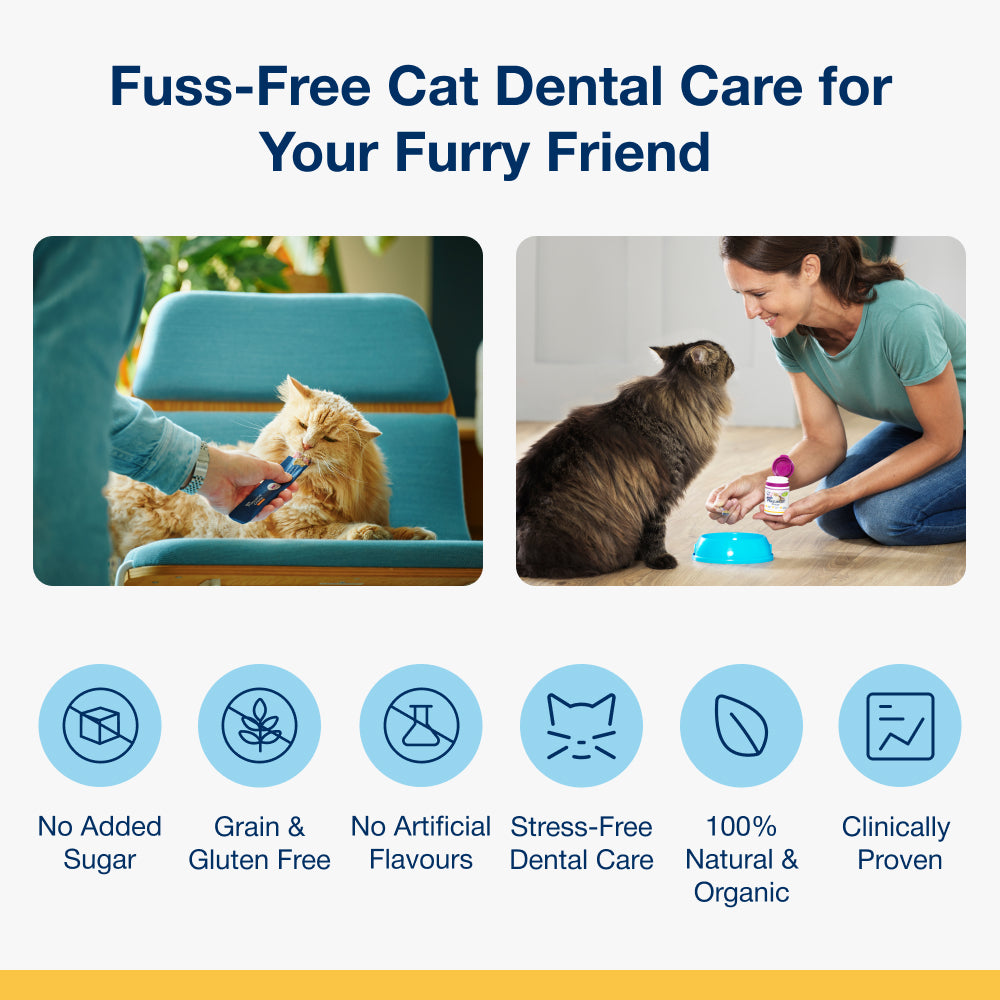 Plaque Off Creme for Cats