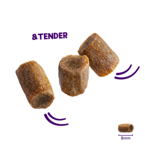 Edgard & Cooper Cat Salmon & Chicken Rolls 45g