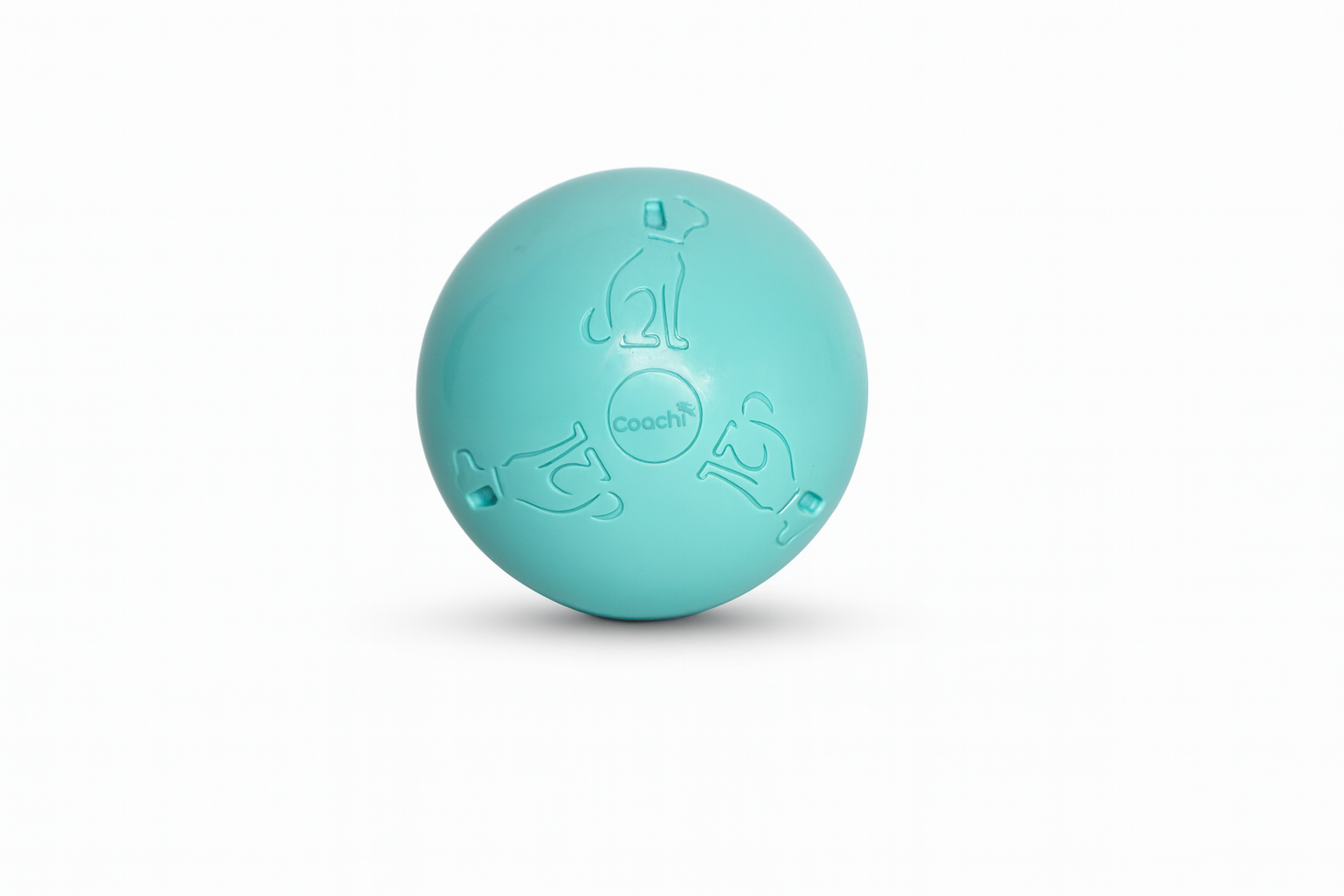 Coachi Puppy & Mini Boomi Ball (2 sizes/2 colours)