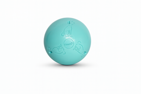 Coachi Puppy & Mini Boomi Ball (2 sizes/2 colours)