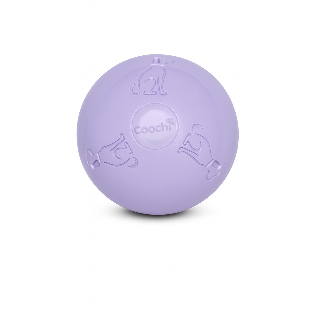 Coachi Puppy & Mini Boomi Ball (2 sizes/2 colours)
