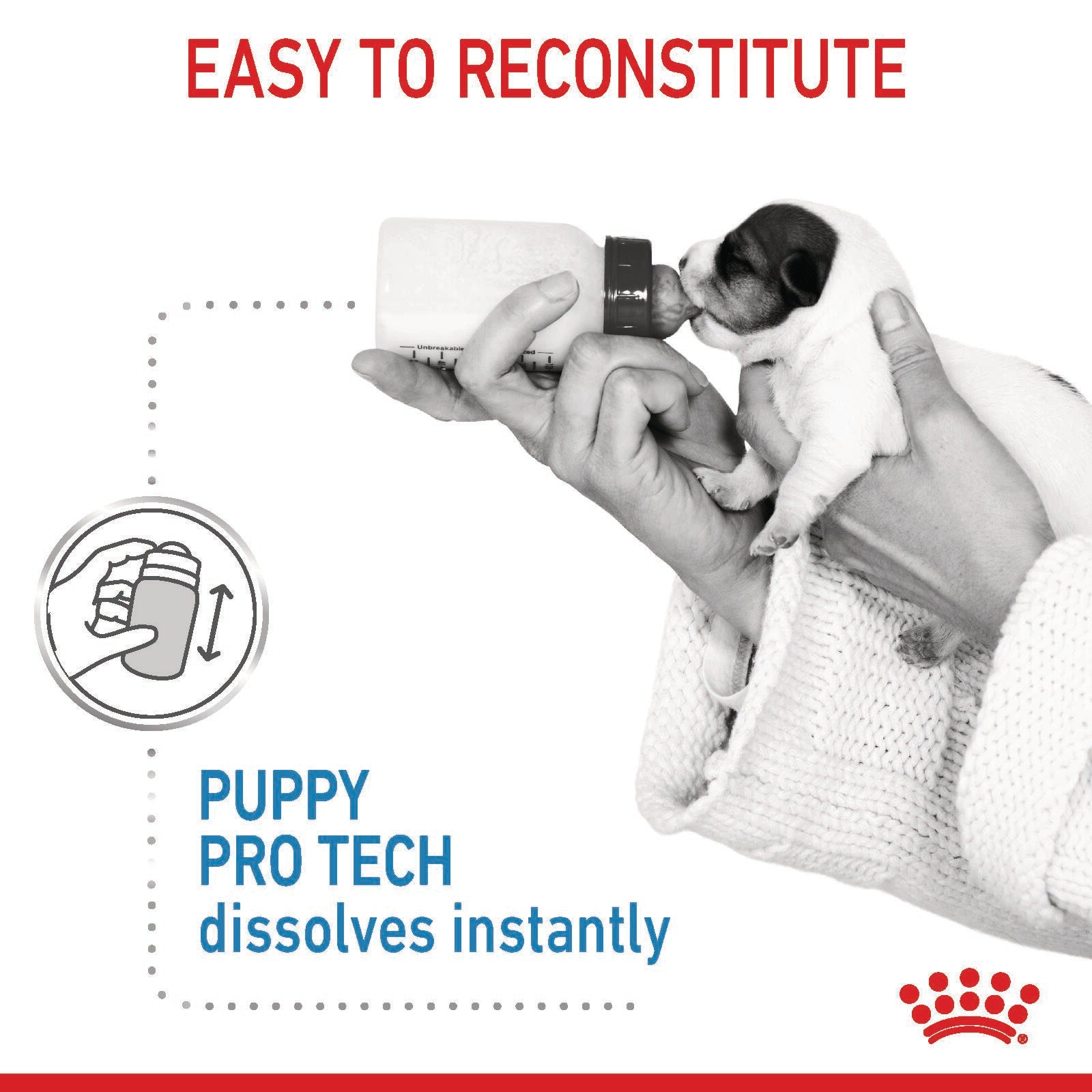 ROYAL CANIN Pro Tech Puppy Dog