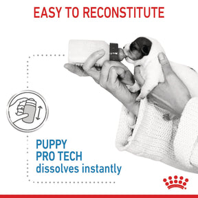 ROYAL CANIN Pro Tech Puppy Dog