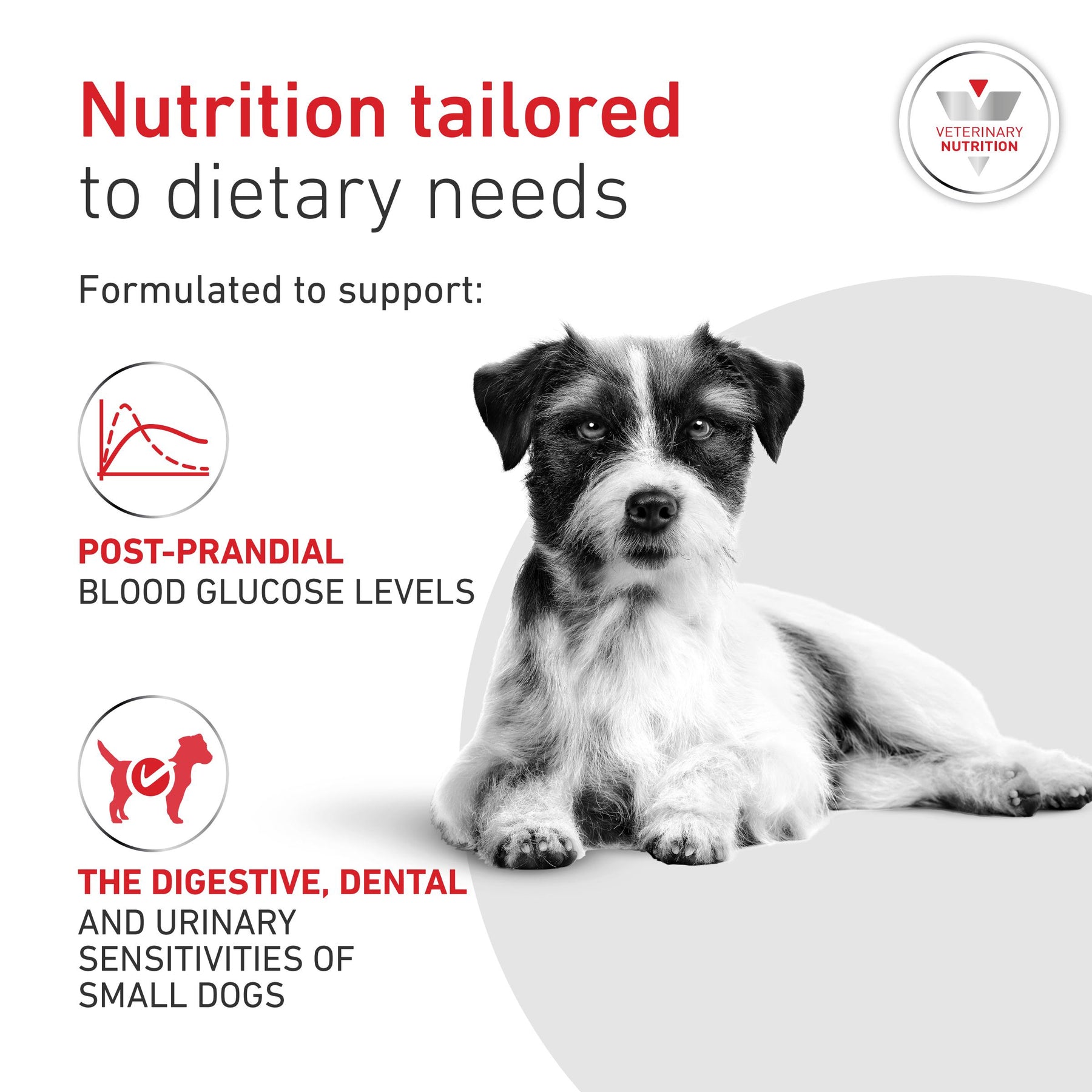 Royal Canin Glycobalance Small Dog Adult Dry Dog Food