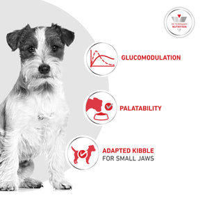 Royal Canin Glycobalance Small Dog Adult Dry Dog Food