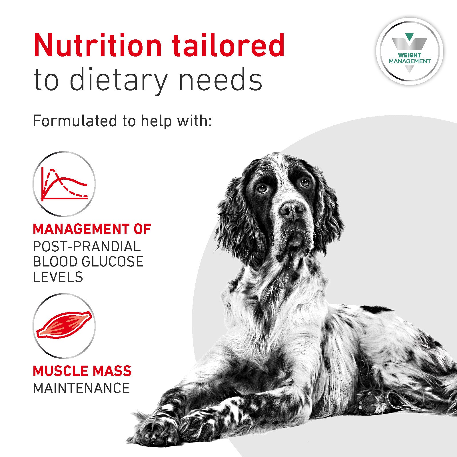 Royal Canin Glycobalance Adult Dry Dog Food 7kg