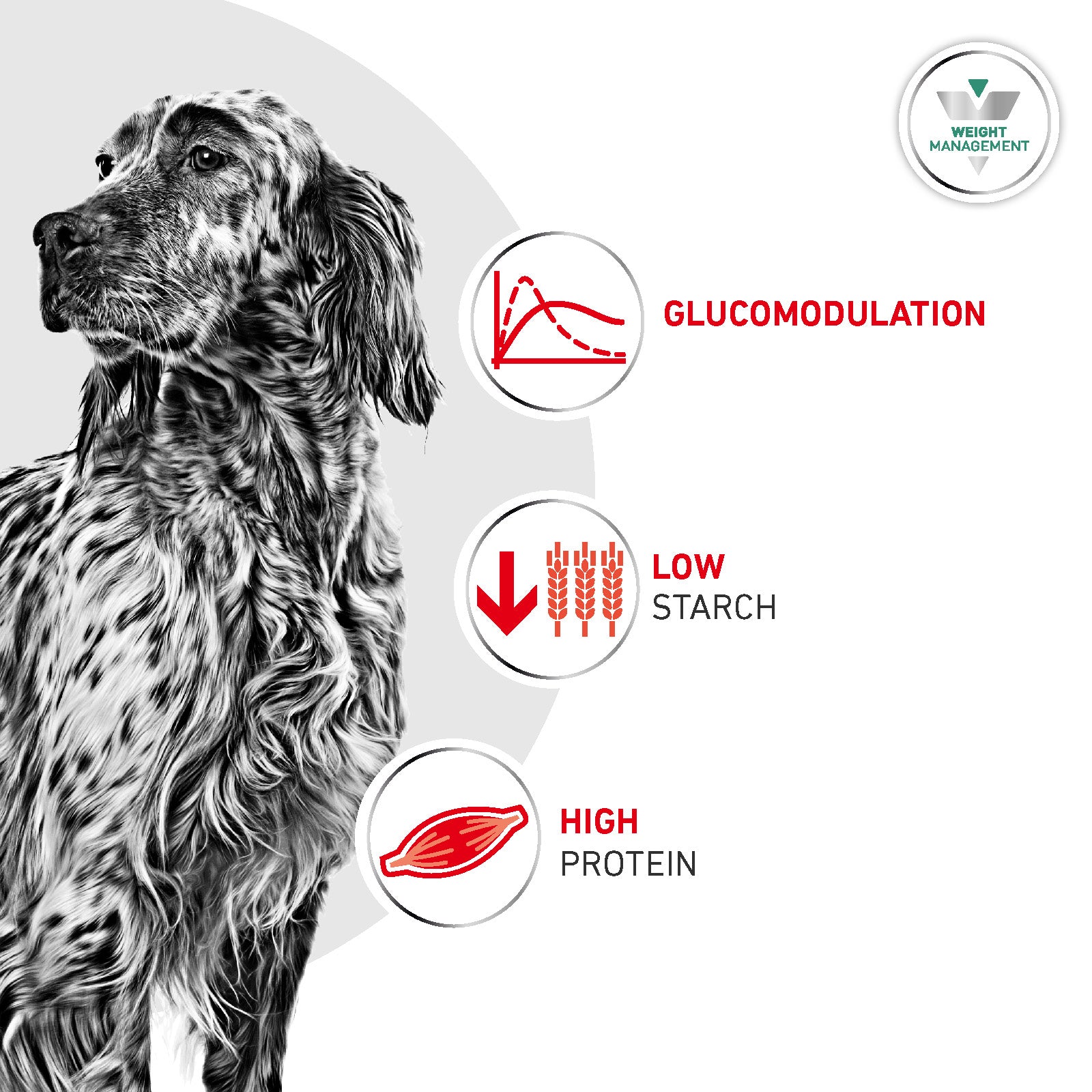 Royal Canin Glycobalance Adult Dry Dog Food 12kg