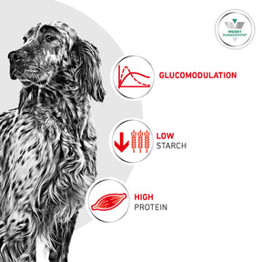 Royal Canin Glycobalance Adult Dry Dog Food 12kg
