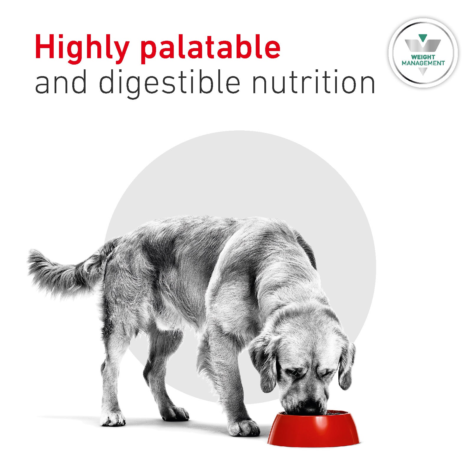 Royal Canin Glycobalance Adult Dry Dog Food 12kg