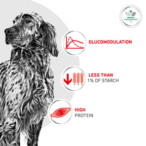 Royal Canin Glycobalance Adult Wet Dog Food