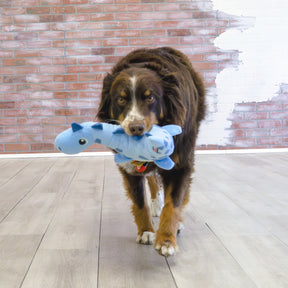 KONG Dynos Roars Blue Medium/Large