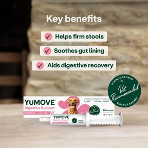 YuMOVE Digestive Support Rapid Paste for Dogs and Cats