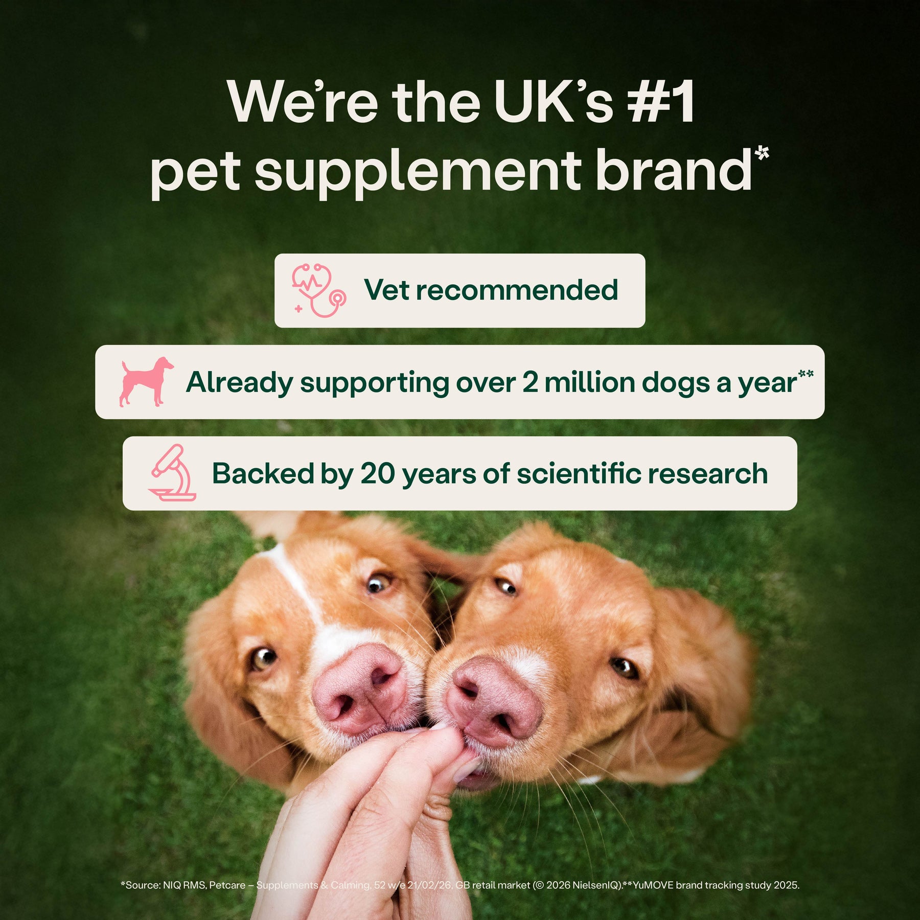 YuMOVE Digestive Support Rapid Paste for Dogs and Cats