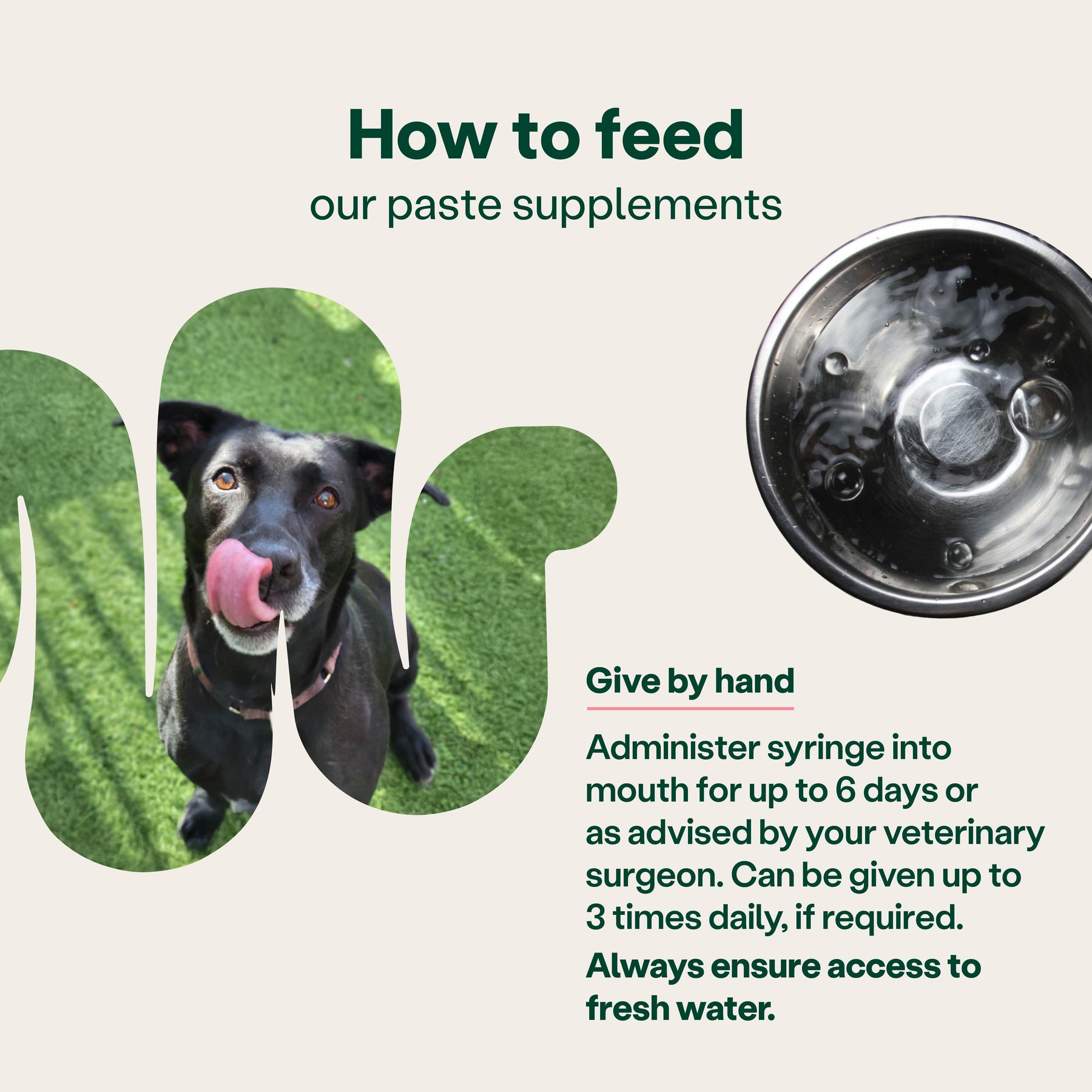 YuMOVE Digestive Support Rapid Paste for Dogs and Cats