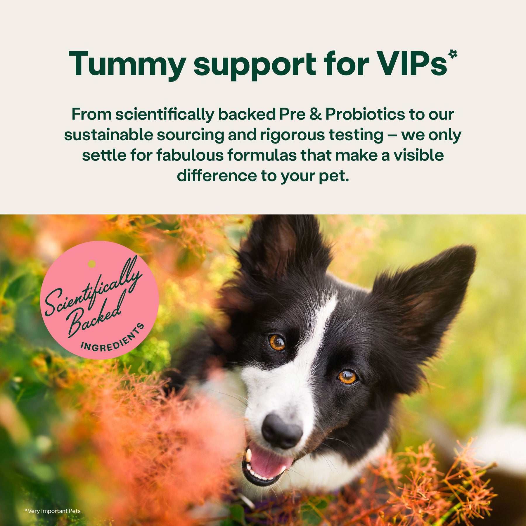 YuMOVE Digestive Support Rapid Paste for Dogs and Cats