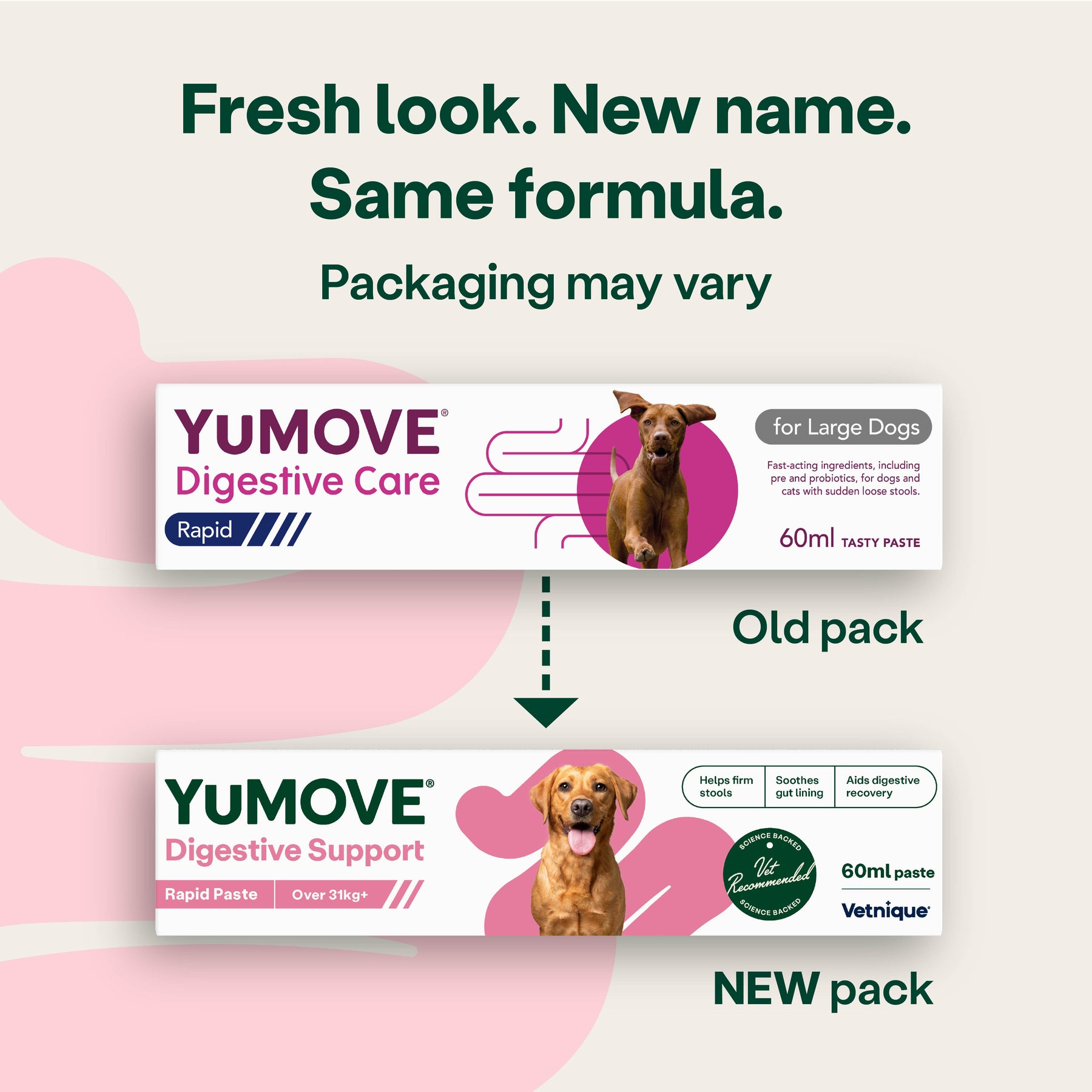 YuMOVE Digestive Support Rapid Paste for Dogs and Cats