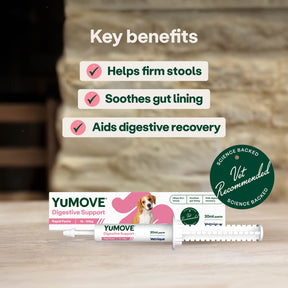 YuMOVE Digestive Support Rapid Paste for Dogs and Cats