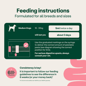 YuMOVE Digestive Support Rapid Paste for Dogs and Cats