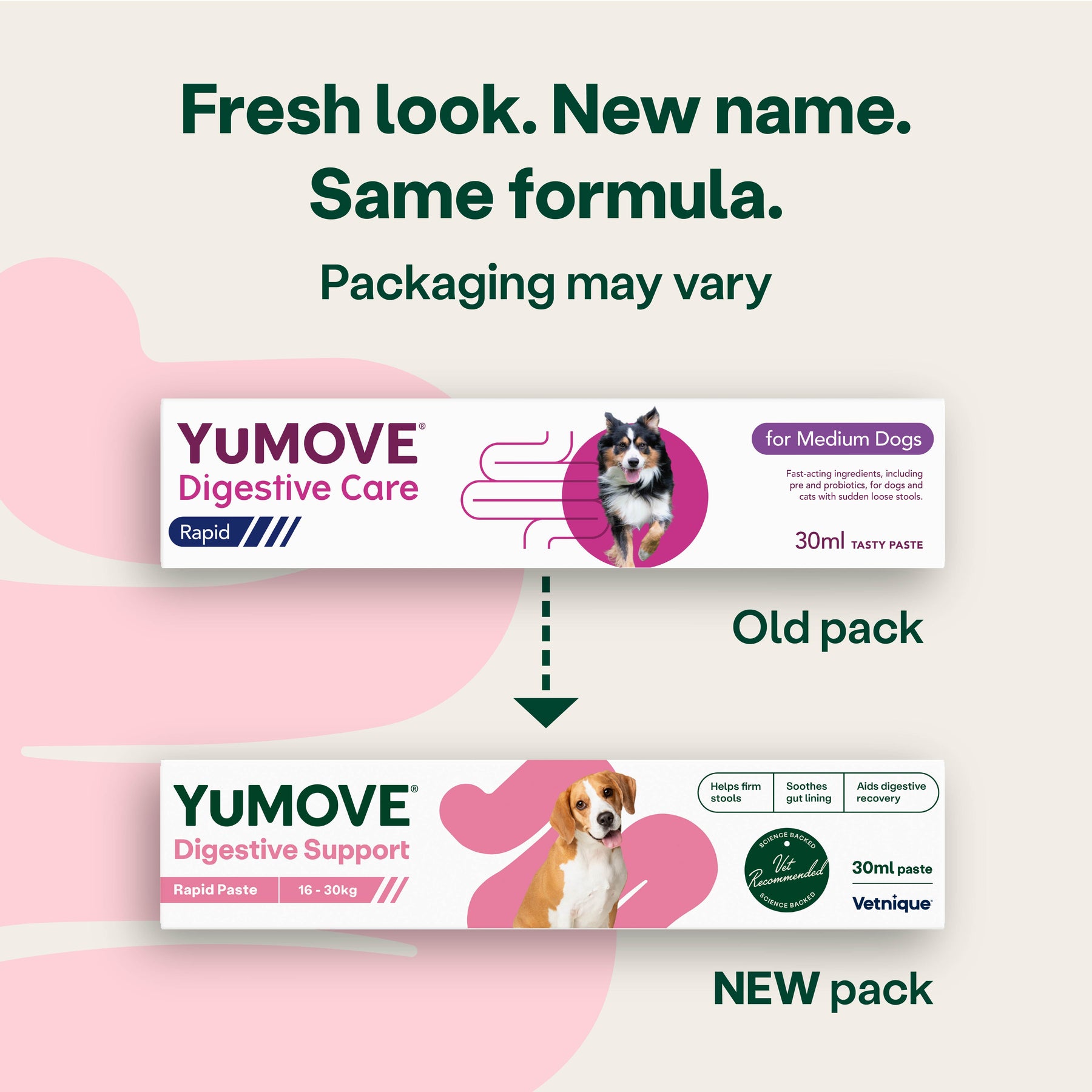 YuMOVE Digestive Support Rapid Paste for Dogs and Cats