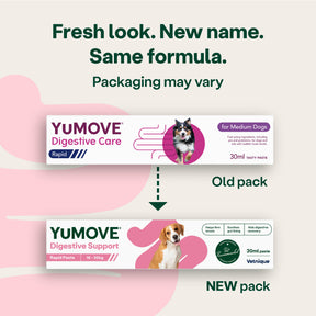 YuMOVE Digestive Support Rapid Paste for Dogs and Cats