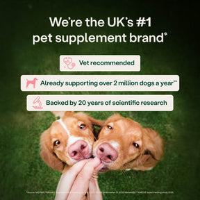 YuMOVE Digestive Support Rapid Powder for Dogs and Cats
