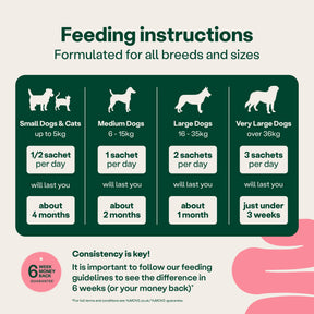 YuMOVE Digestive Support Rapid Powder for Dogs and Cats
