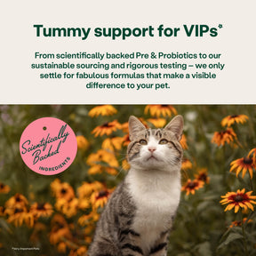YuMOVE Digestive Support Rapid Powder for Dogs and Cats