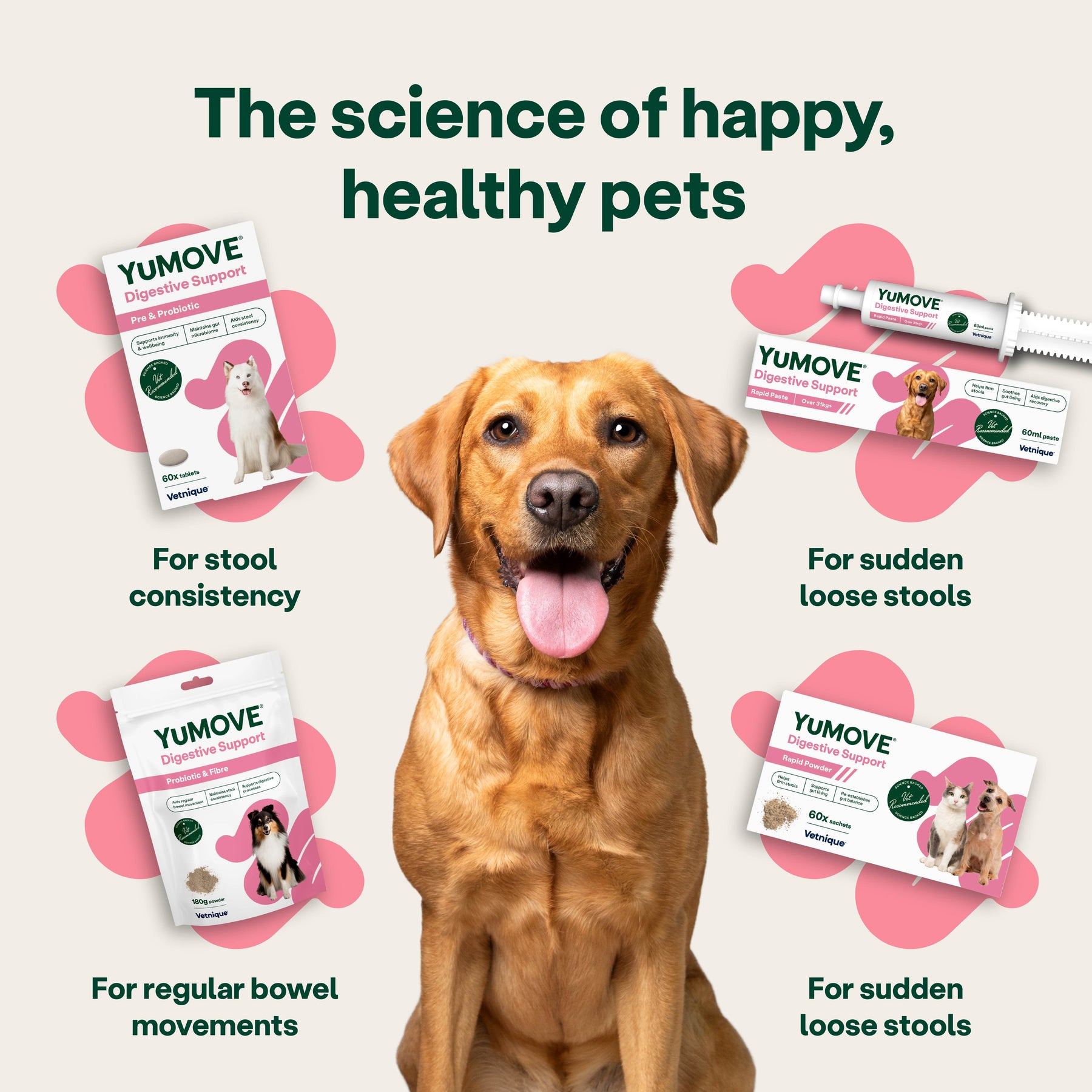 YuMOVE Digestive Support Rapid Powder for Dogs and Cats