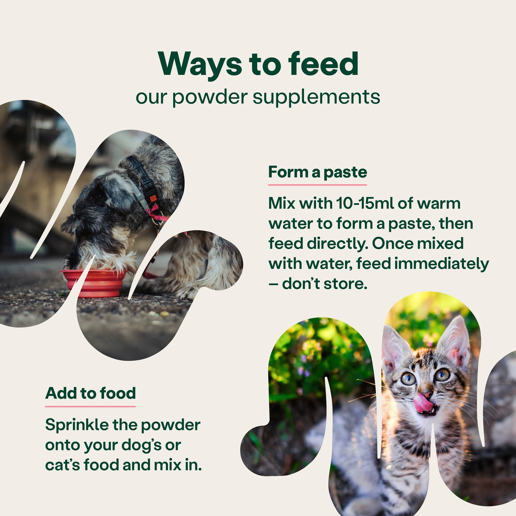 YuMOVE Digestive Support Rapid Powder for Dogs and Cats