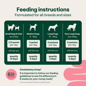 YuMOVE Digestive Support Rapid Powder for Dogs and Cats