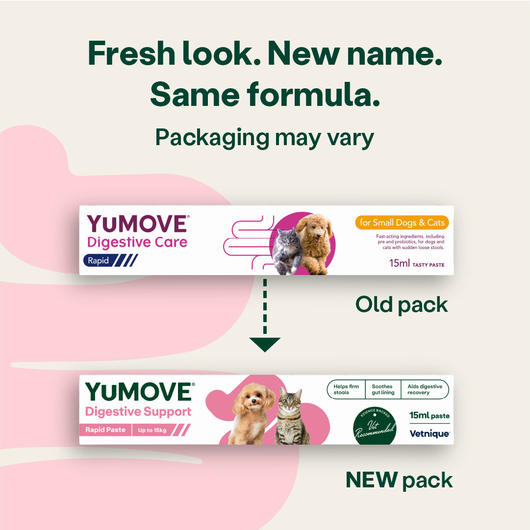 YuMOVE Digestive Support Rapid Paste for Dogs and Cats
