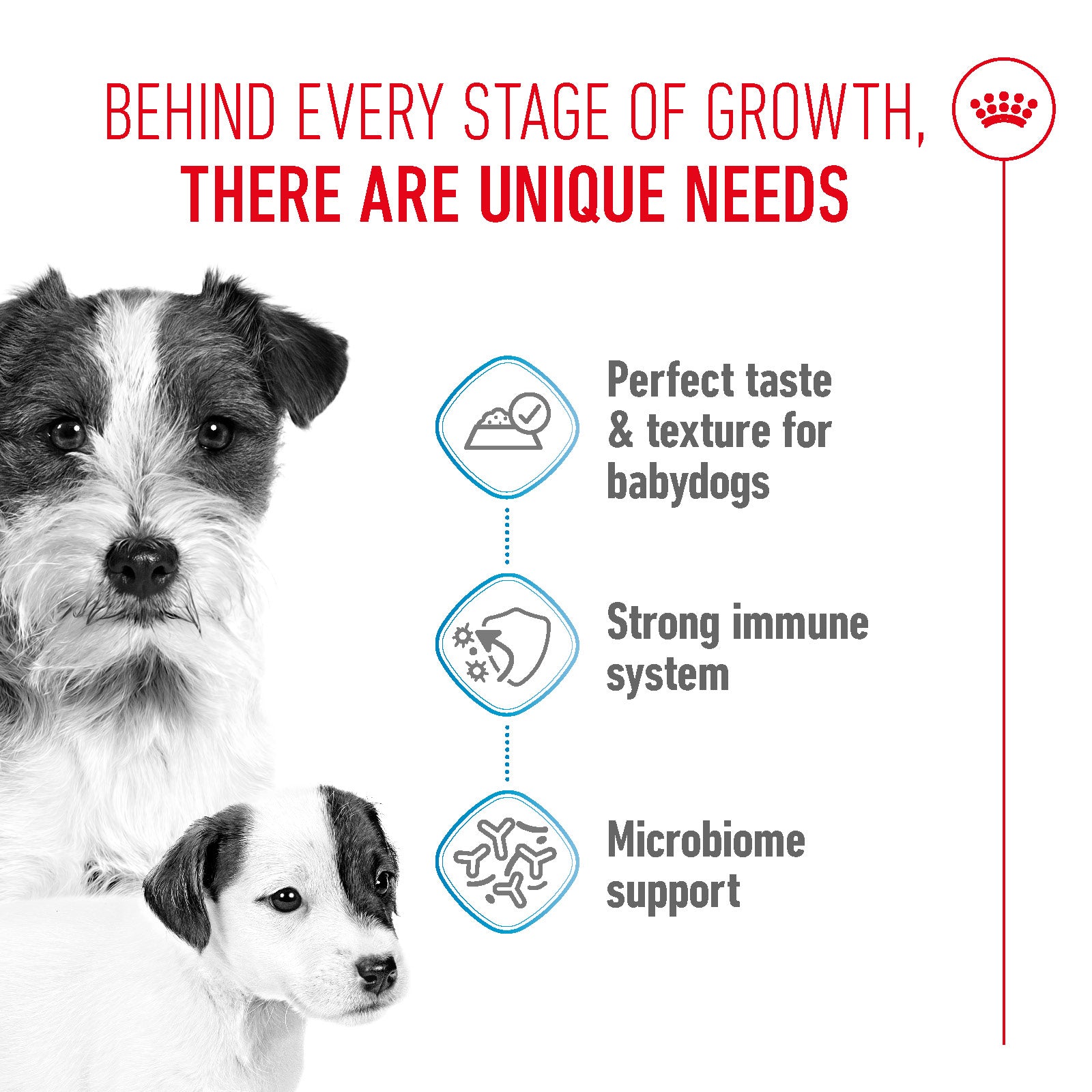 ROYAL CANIN® Starter Mousse for Mother & Babydog Wet Dog Food