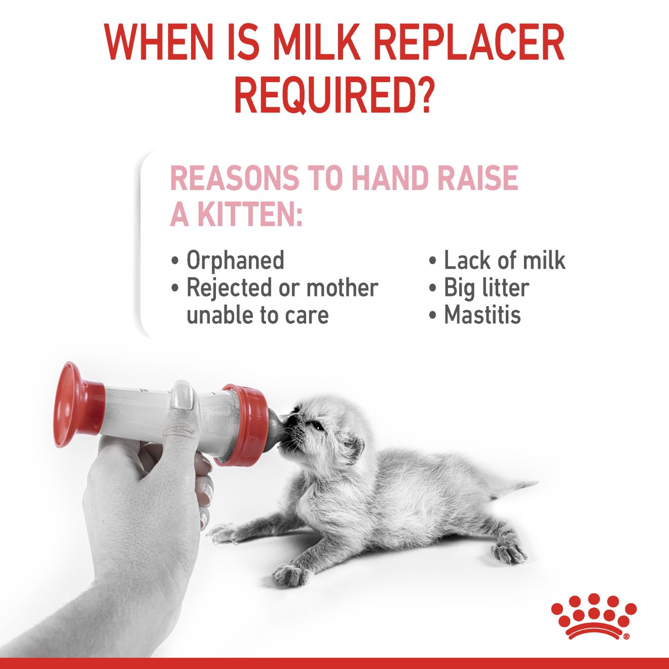 ROYAL CANIN® Babycat Milk Kitten