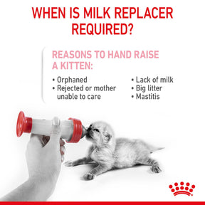 ROYAL CANIN® Babycat Milk Kitten