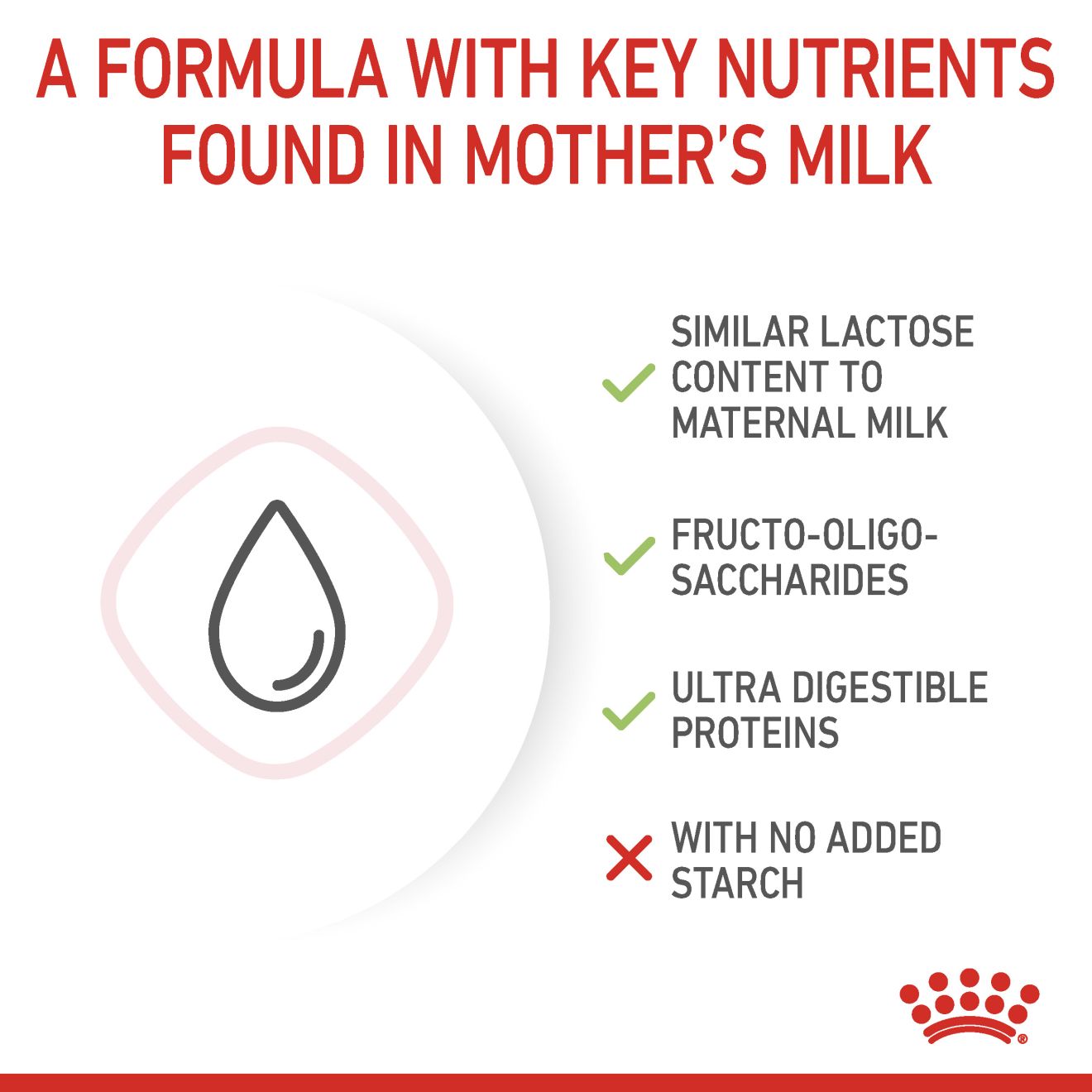 ROYAL CANIN® Babycat Milk Kitten
