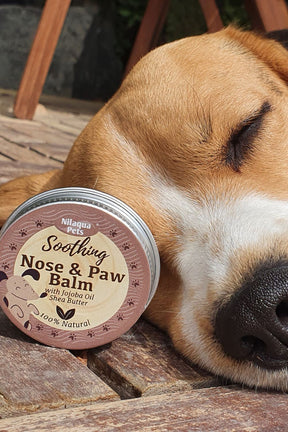 Nilaqua Paw & Nose Balm Soothing Jojoba 30g