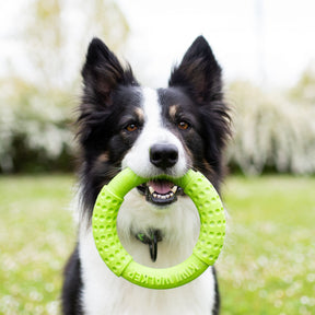 Kiwi Walker Let's Play! Ring Green (2 sizes)