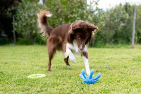 Kiwi Walker Let's Play! Octopus Green (2 sizes)