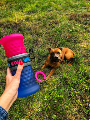 Kiwi Walker Travel Bottle 2-in-1 Pink/Blue