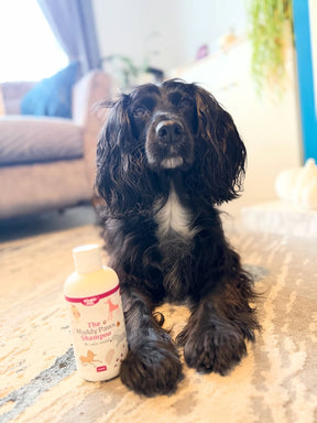 Nilaqua The Muddy Paws Towel Off Shampoo 240ml