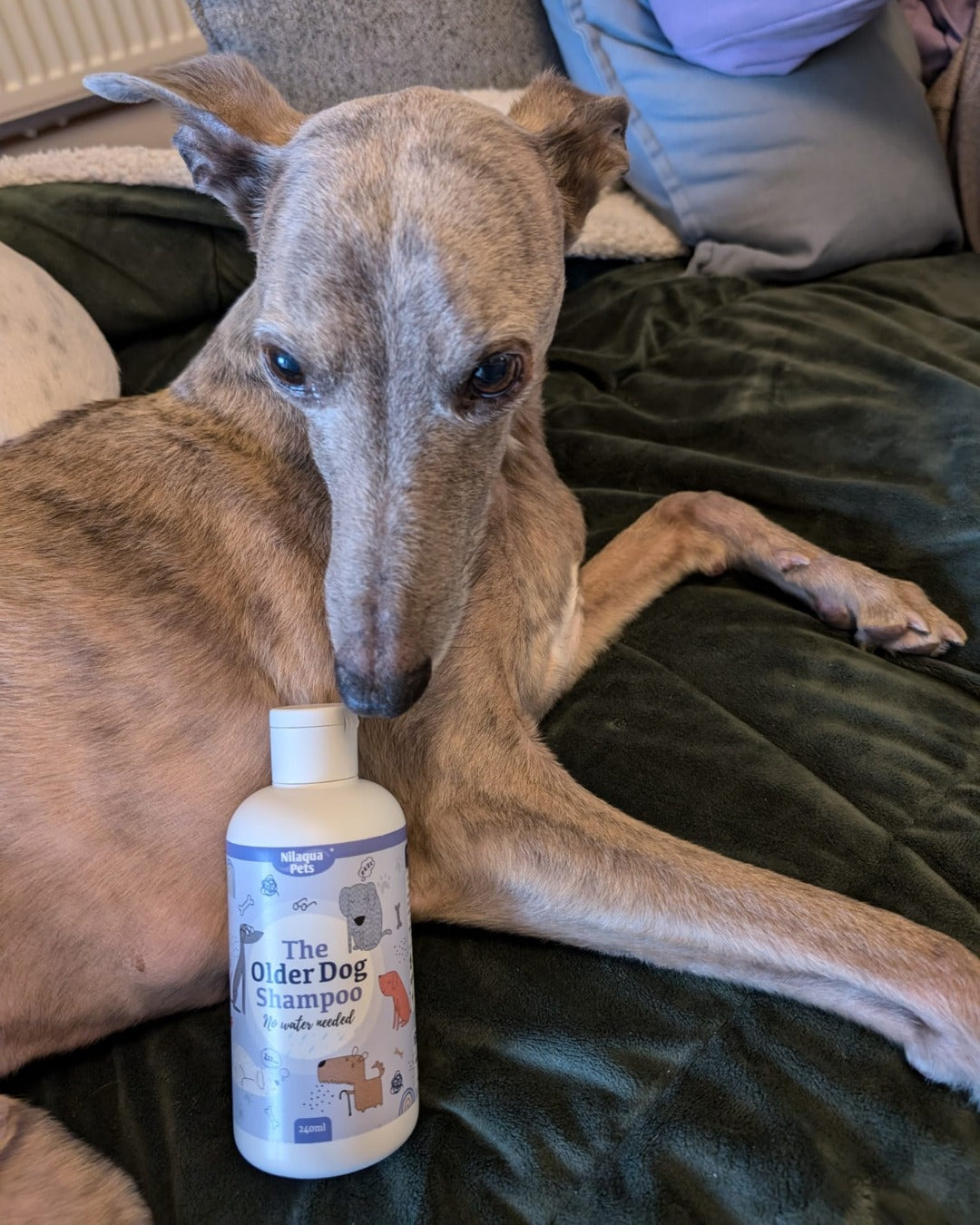 Nilaqua The Older Dog Towel Off Shampoo 240ml
