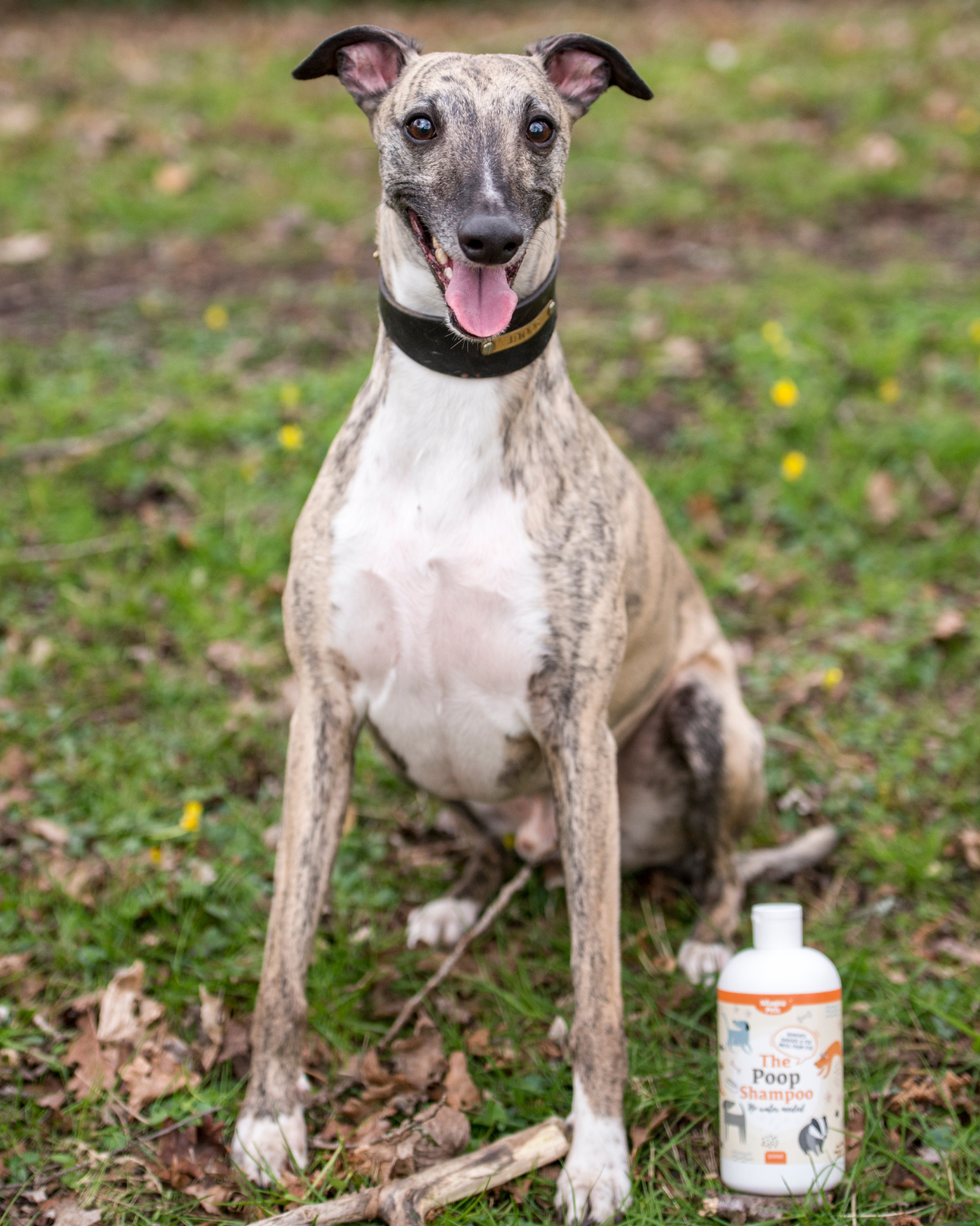 Nilaqua The Poop Towel Off Shampoo 240ml