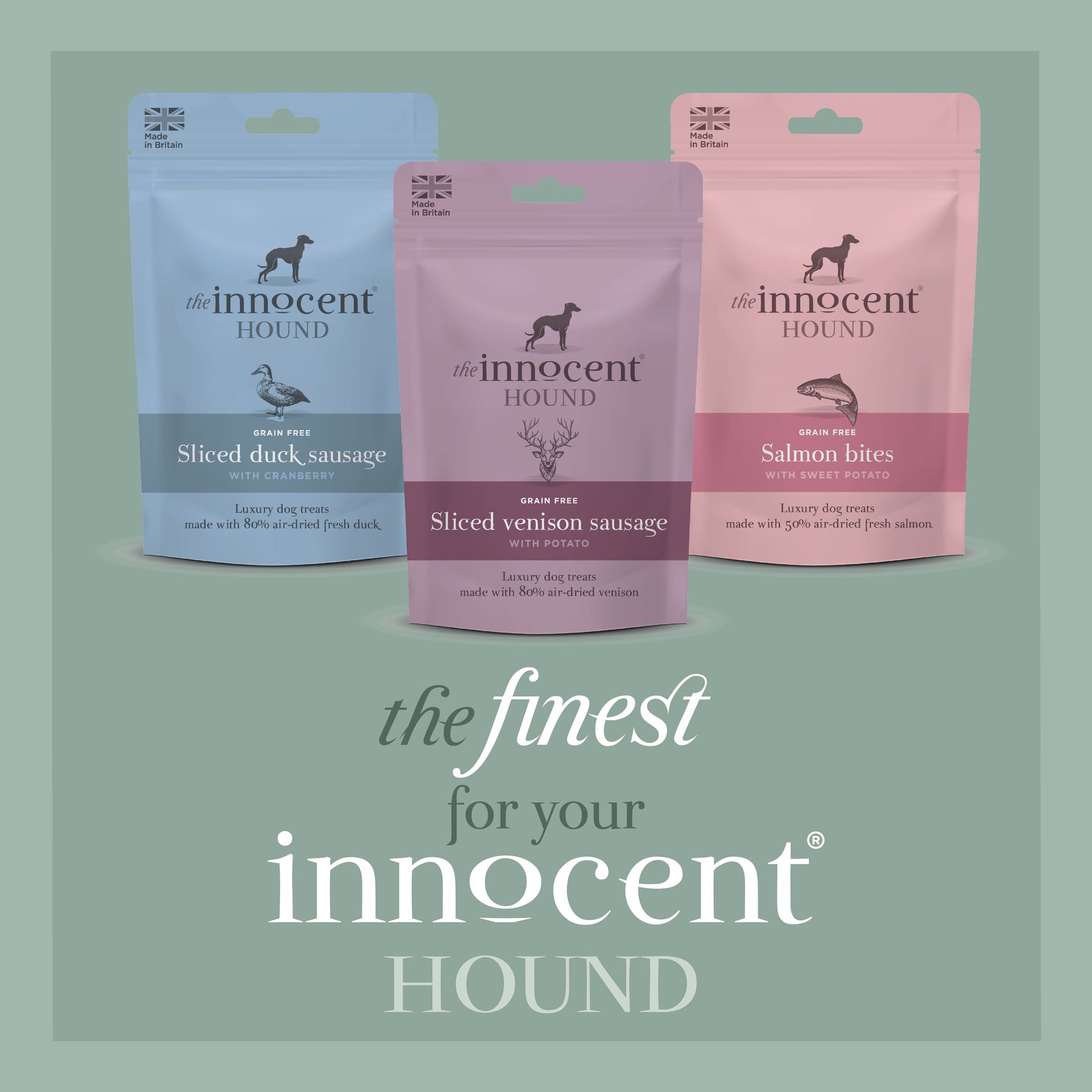 Innocent Hound Salmon Bites Sweet Potato