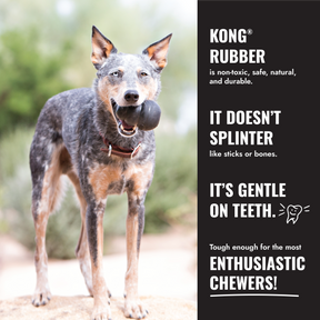 KONG Extreme Ball with Hole Dog Toy Large