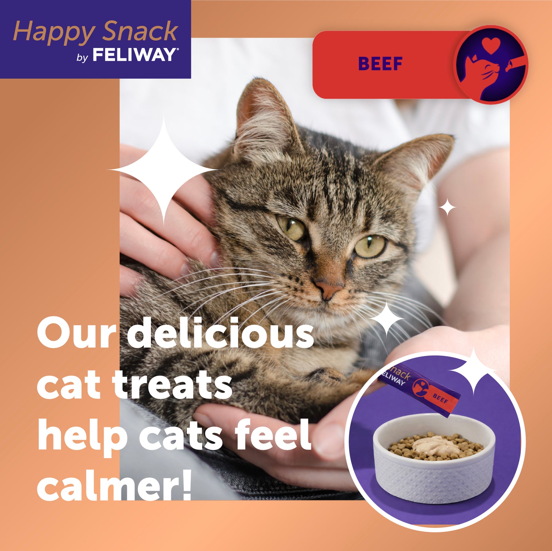 Feliway Happy Snack Calming Treats Beef x6 Sticks