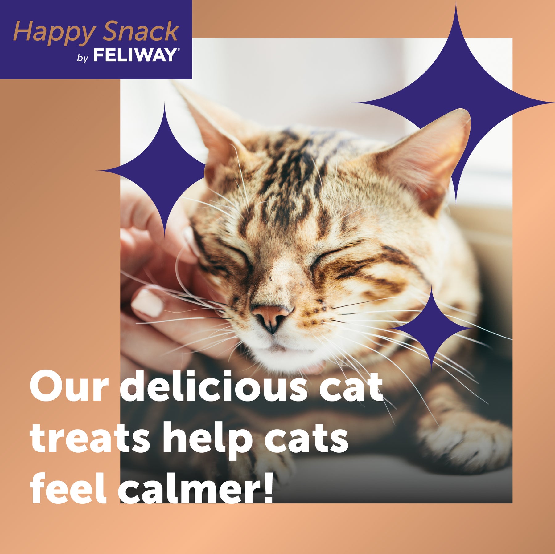 Feliway Happy Snack Calming Treats Chicken & Salmon x48 Sticks