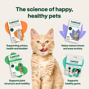 YuMOVE Urinary Support Cat