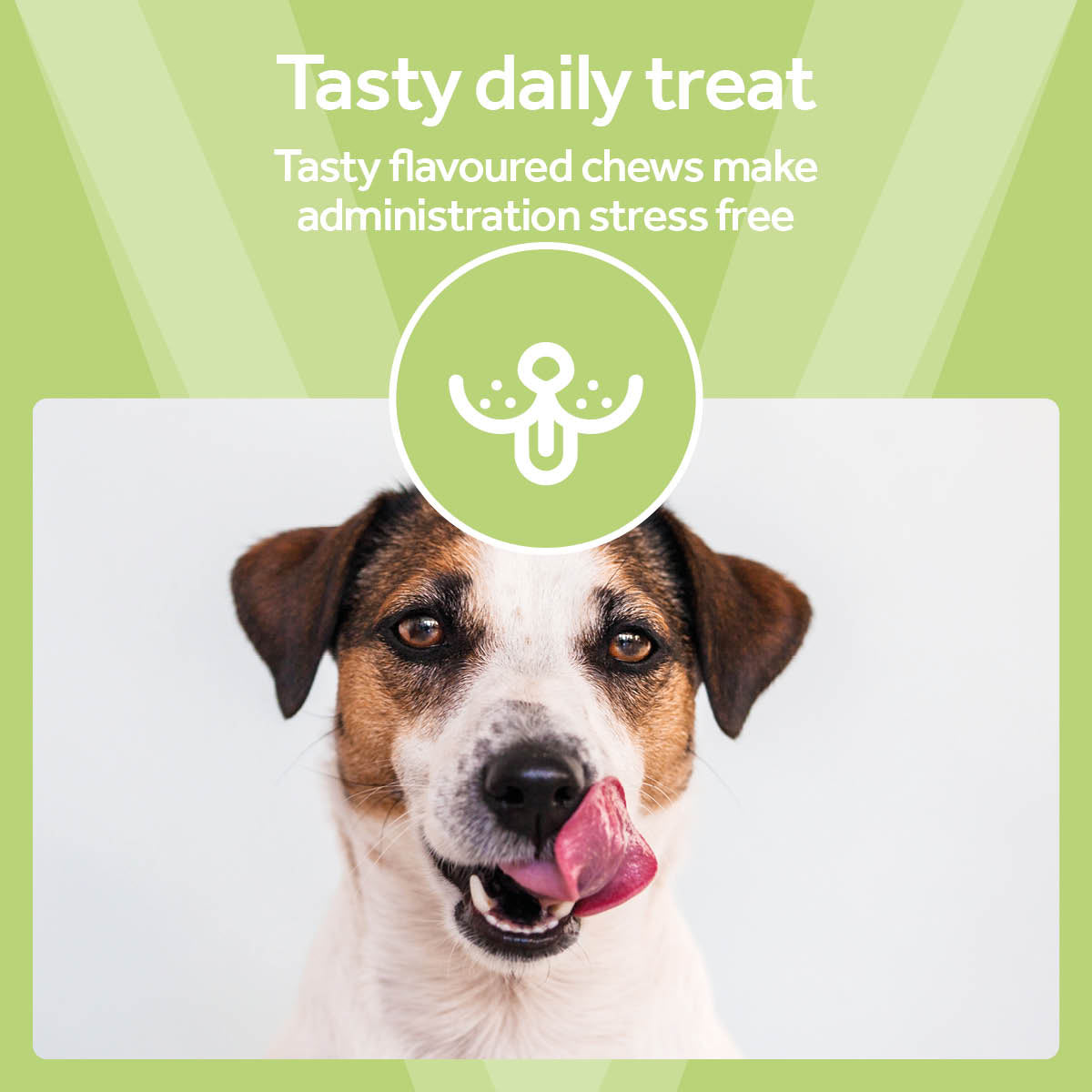 Vetpro Chews Calming Support