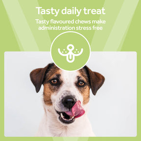 Vetpro Chews Calming Support