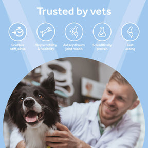 Vetpro Mobility Support